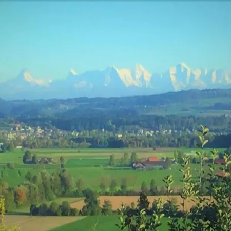 Kronenburger Comfort *