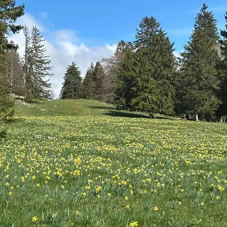 Kronenburger Comfort 別荘