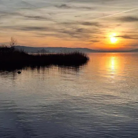 Bungalows In Hallschlag Am Kronenburger See Mit Terrasse * Hallschlag