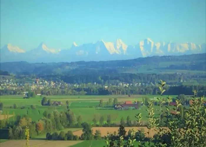Bungalows In Hallschlag Am Kronenburger See Mit Terrasse *