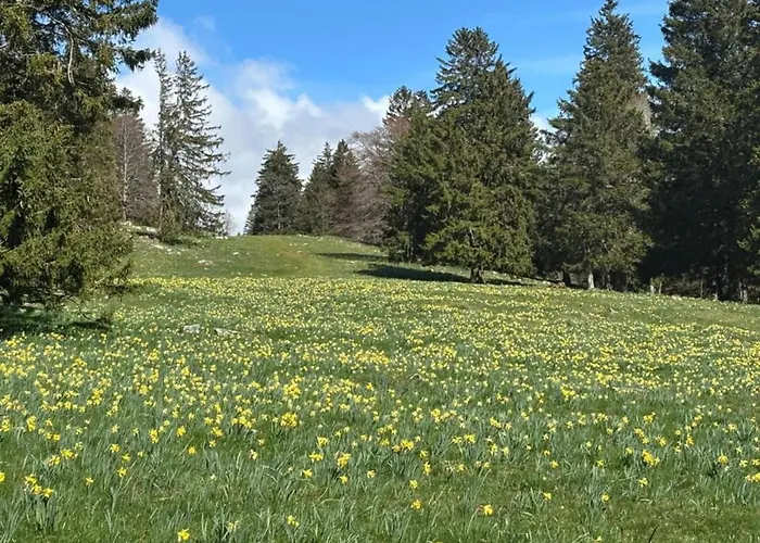 Kronenburger Comfort Casa de Férias