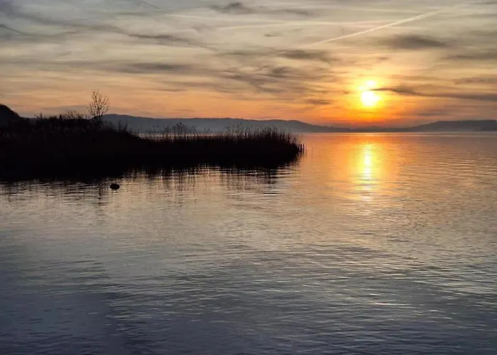 Bungalows In Hallschlag Am Kronenburger See Mit Terrasse * Hallschlag