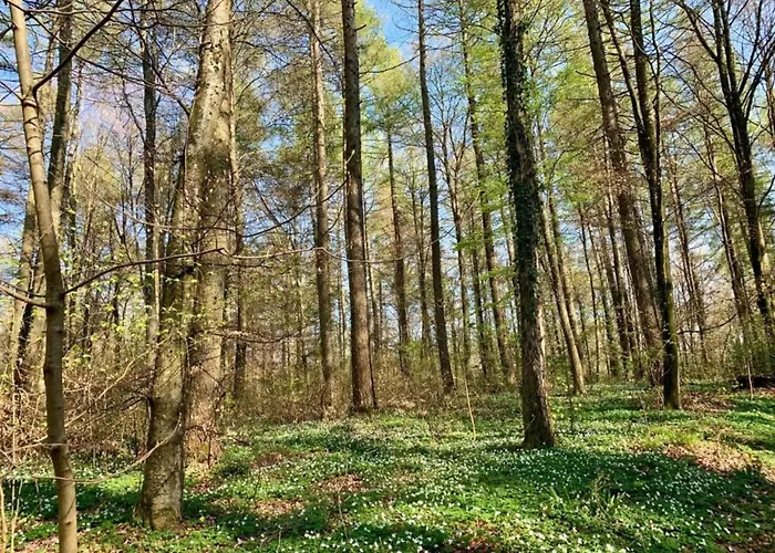 Kronenburger Comfort *